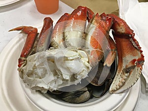 Fresh and Healthy Seafood Crab Meal on a Plate of Clams