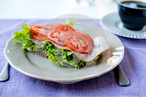 Fresh healthy Tomatoe sandwich