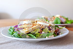 Fresh and healthy vegetable salad with chunks of grilled halloumi goat cheese on top