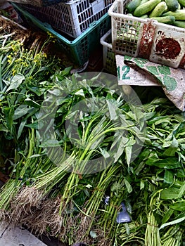 Fresh and Healthy Water Spinach are  favored by some Indonesian People