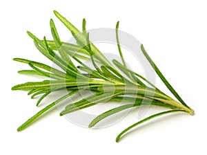 Fresh herb, fresh rosemary isolated on white