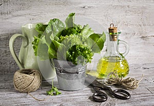 Fresh herb garden in a metal bucket, olive oil in glass bottle, old vintage scissors and a jug