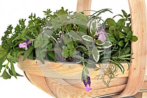 Fresh Herb Leaf Selection