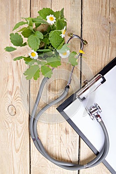 Fresh herb and medical stethoscope on wooden table. Alternative medicine concept.