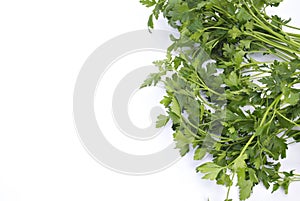 Fresh Herb: Parsley photo