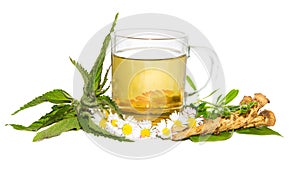 Fresh herbal infusion for detoxifying cure