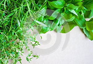 Fresh herbs background