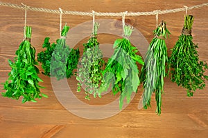 Fresh Herbs Collection / Vintage Style