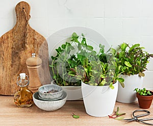 Fresh Herbs and Cooking Ingredients on a Kitchen Counter