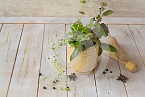 Fresh herbs in the copper mortar on the shabby wooden planks table