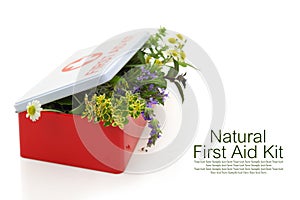 Fresh herbs in first aid kit