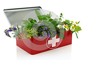 Fresh herbs in first aid kit photo