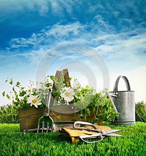 Fresh herbs and flowers with garden tools in the grass