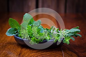 Fresh herbs from garden