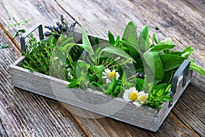 Fresh herbs from garden