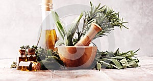 Fresh herbs from the garden and the different types of oils for massage and aromatherapy on table