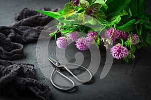 Fresh herbs with garden scissors on black kitchen table