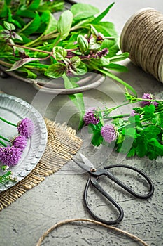Fresh herbs with garden scissors on kitchen table