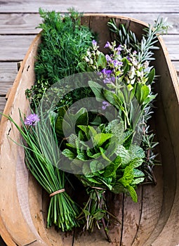 Fresh herbs from garden in wooden basket: chives, mint, thyme, r