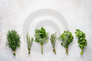 Fresh herbs on gray background. Various ingredients for cooking