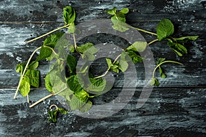 Rustic, natural kitchen - green herbs on dark background