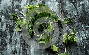 Rustic, natural kitchen - green herbs on dark background