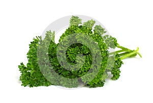 Fresh Herbs - green parsley