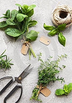 Fresh herbs on grey concrete background