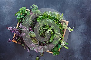 Fresh herbs ingredients for healthy cooking or salad