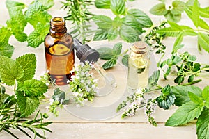 Fresh herbs, leaves, flowers and essential oil on the wooden board