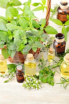 Fresh herbs and massage oil on the wooden table