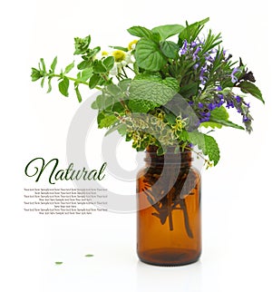 Fresh herbs in a medical bottle