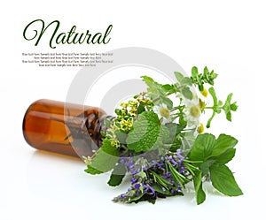 Fresh herbs in a medical bottle