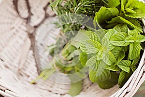 Fresh herbs photo