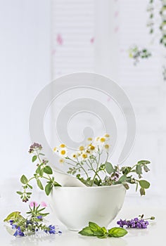 Fresh herbs in mortar on white background