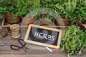 Fresh herbs plants blackboard Gardening home kitchen