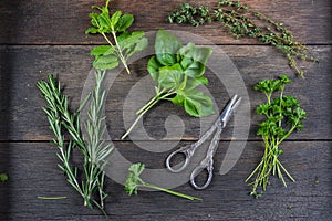 Fresh herbs preparation for drying