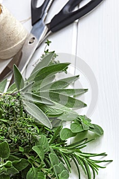 Fresh Herbs with Scissors and String