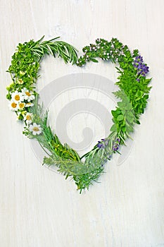 Fresh herbs in shape of love heart