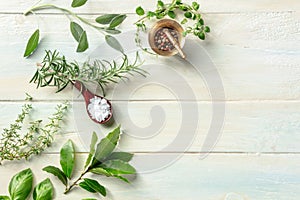 Fresh herbs, shot from above on a wooden background with salt and pepper