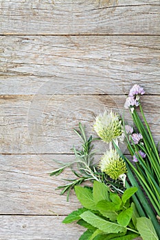 Fresh herbs and spices on garden table