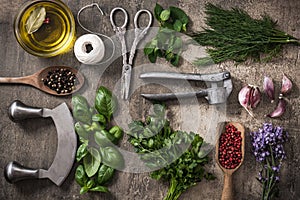 Fresh herbs and spices with herb cutter