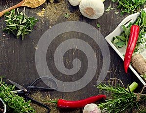 Fresh herbs and spices on a rustic wooden table