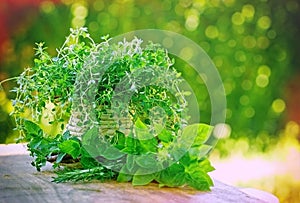 Fresh herbs - spices