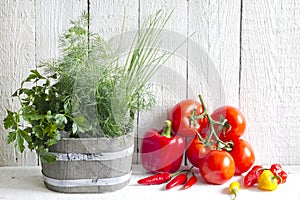 Fresh herbs and spices on white planks