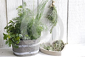 Fresh herbs and spices on white planks