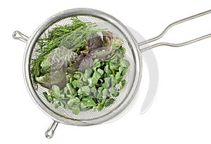 Fresh herbs with water drops in a vintage colander on a white background