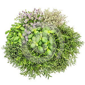 Fresh herbs white background Food Basil rosemary thyme savory