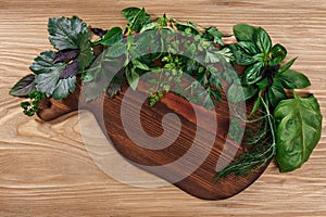 Fresh herbs on wooden cutboard