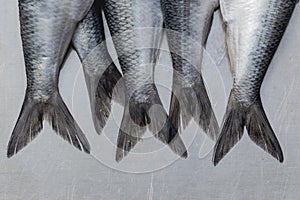 Fresh herrings tails macro full frame crop